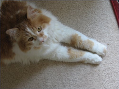 Rollie loves you very much.