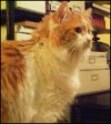 Rollie, May 2004