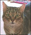 Tia, May 2004